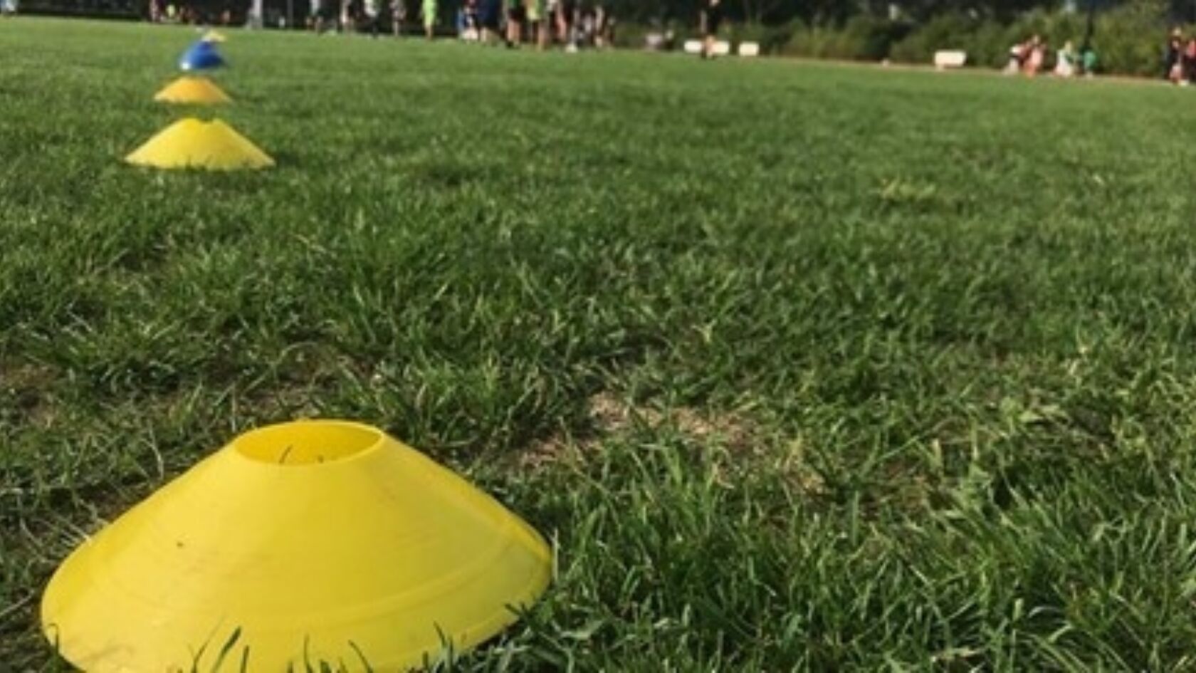 Vragenlijst beheer natuurgras sportvelden