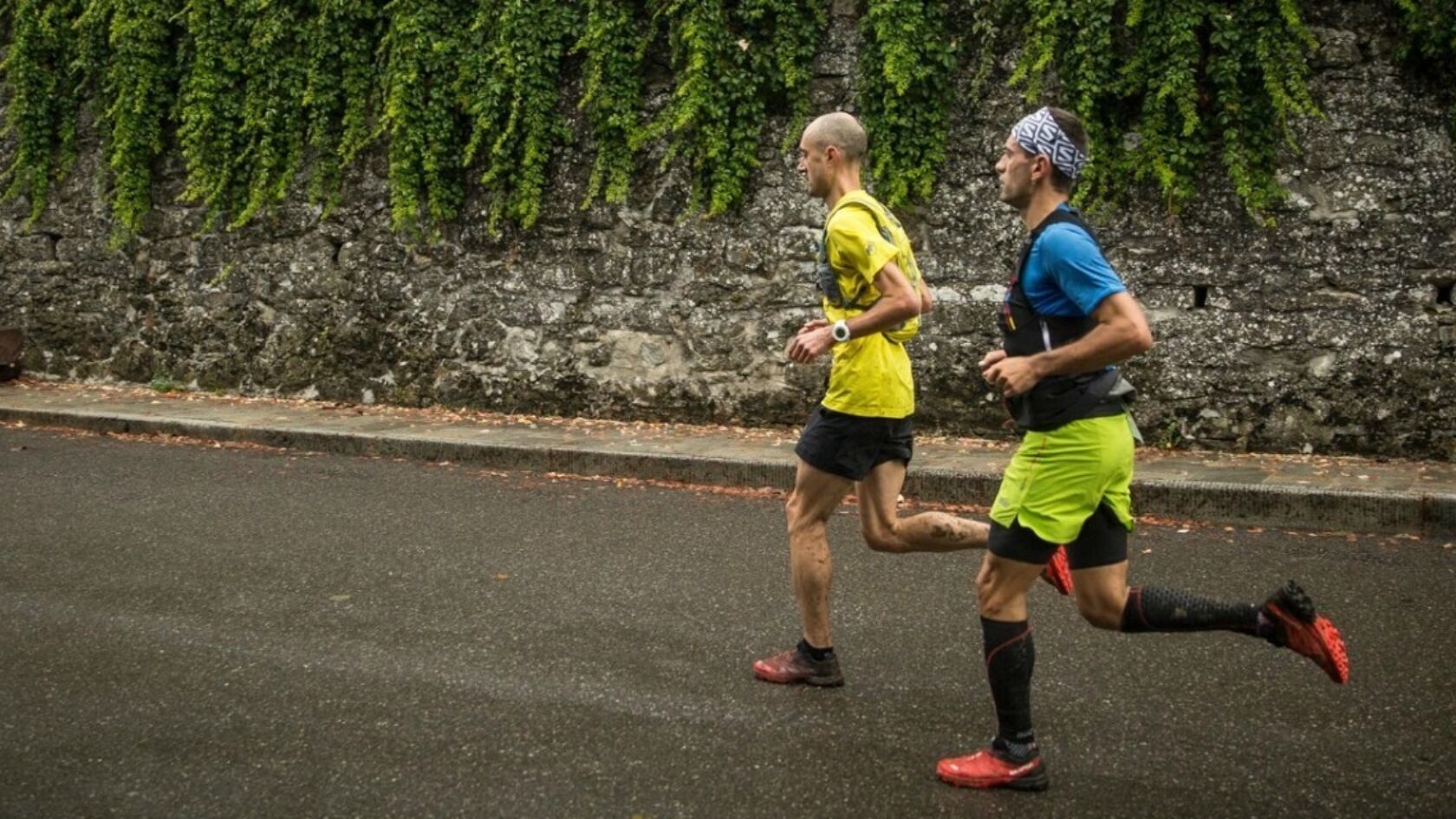 Jansen herkozen als council member IAU