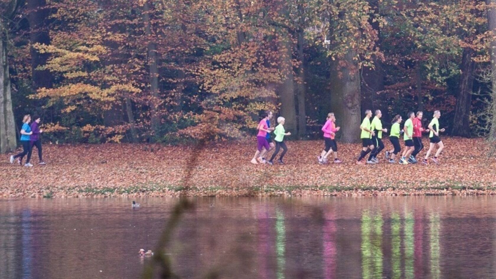 Parklopen - van start tot finish